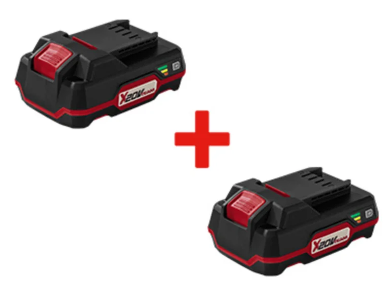PARKSIDE Lot de 2 Batteries PAP 20 B1. 2 Ah. 20 V